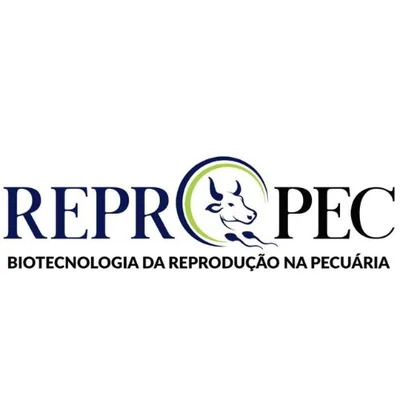 Cliente parceiro